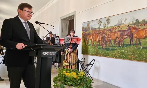 2025, Ausstellungser. Trakehner 2